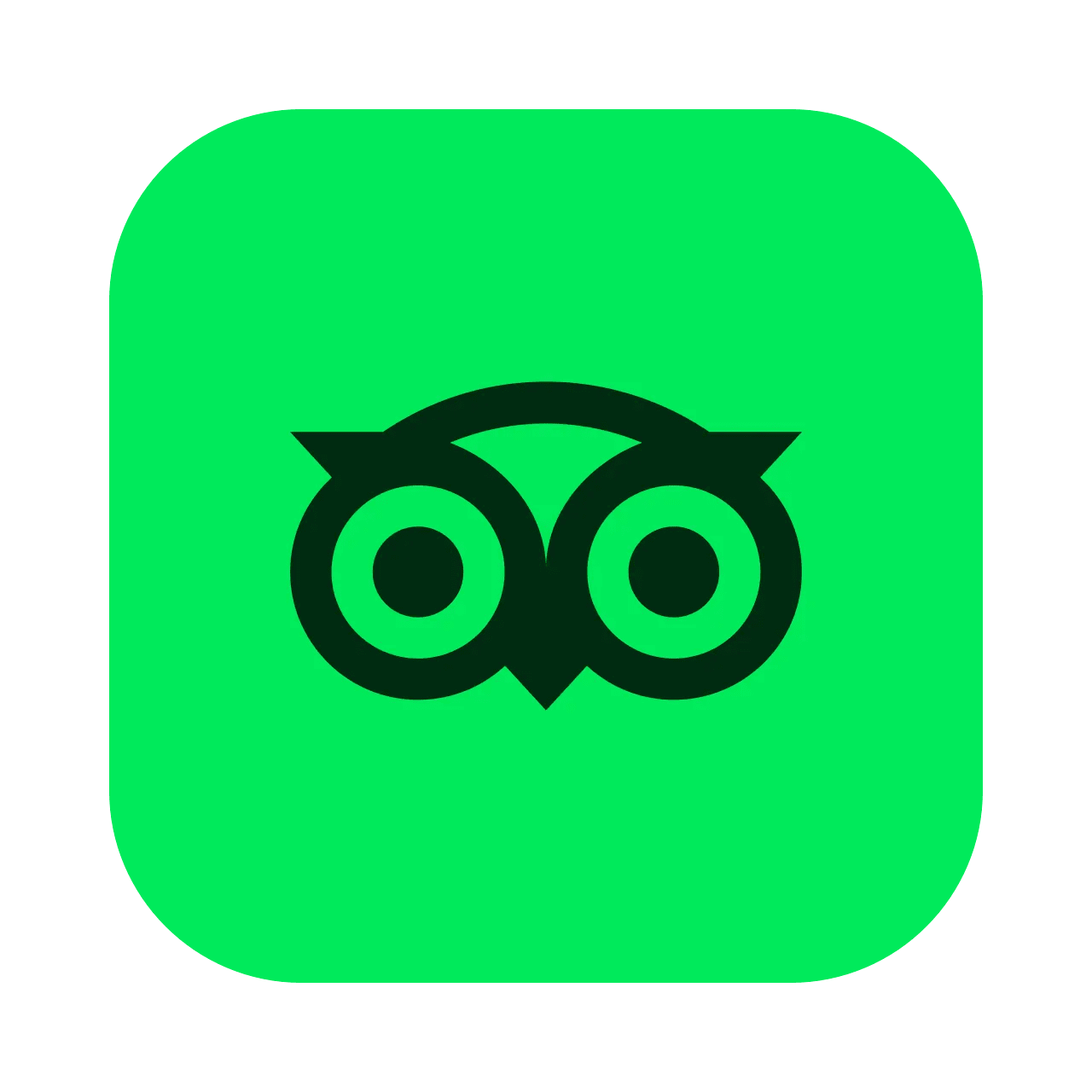 TripAdvisor Badge